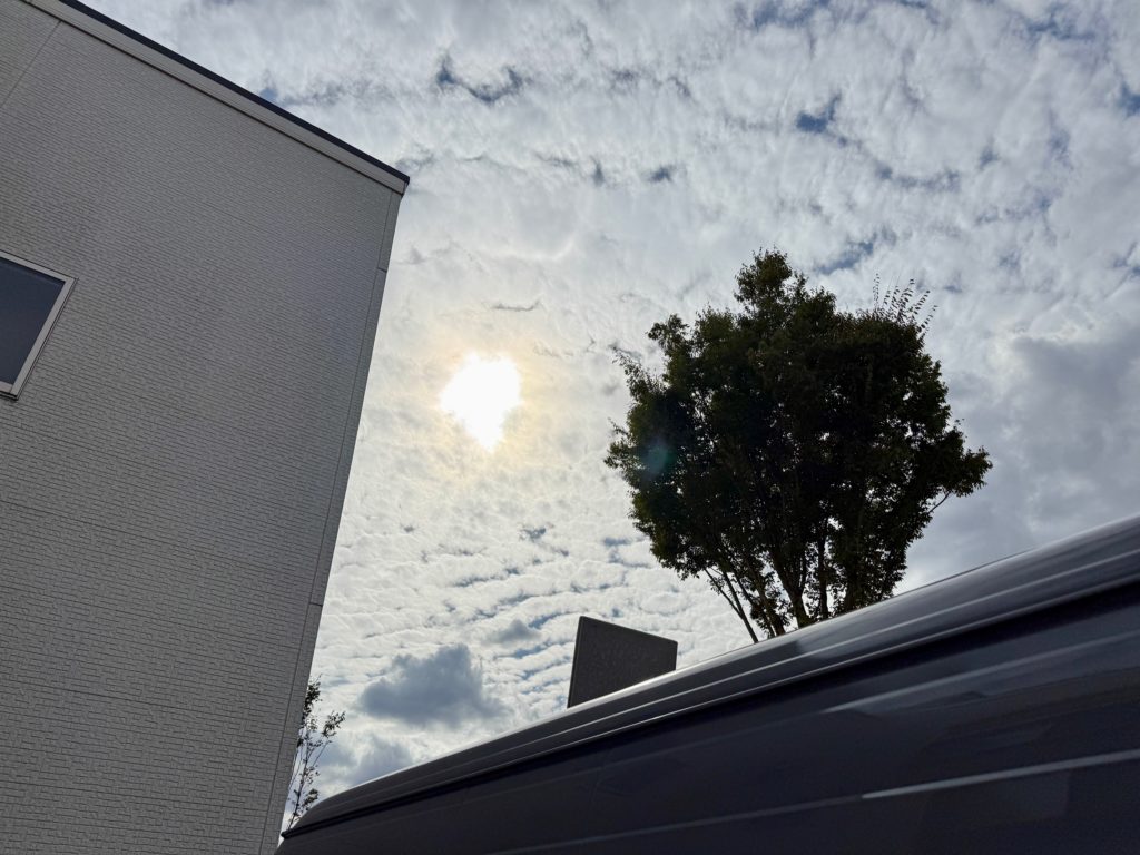 越谷市 愛犬の火葬ならプティセレモにご相談ください