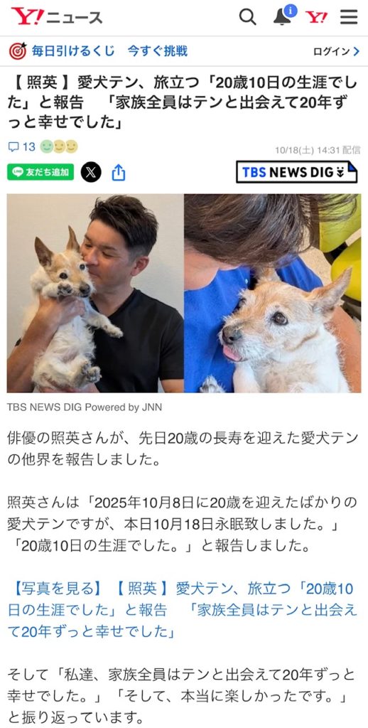 照英　愛犬テンちゃん