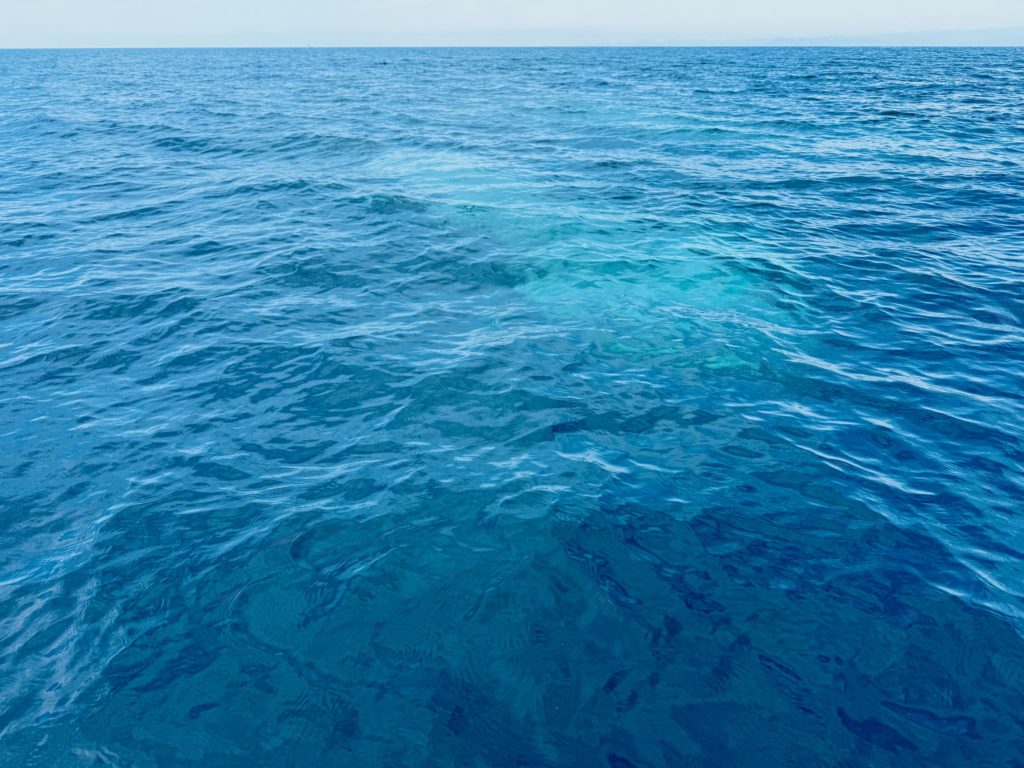 ペットの散骨プラン プティセレモ