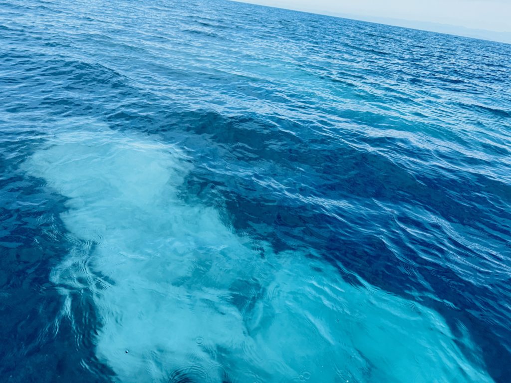 散骨供養 プティセレモ