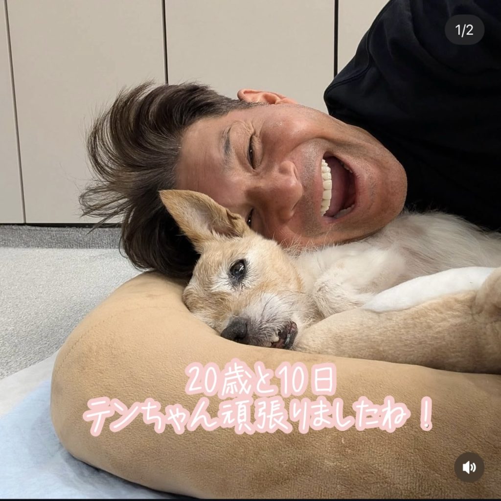 世田谷区　犬の火葬はプティセレモ