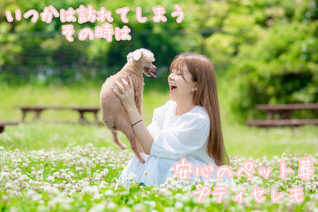 世田谷区のペット葬儀会社　プティセレモ