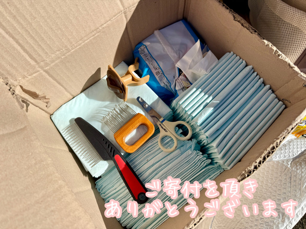 ペット用品　寄付　プティセレモ