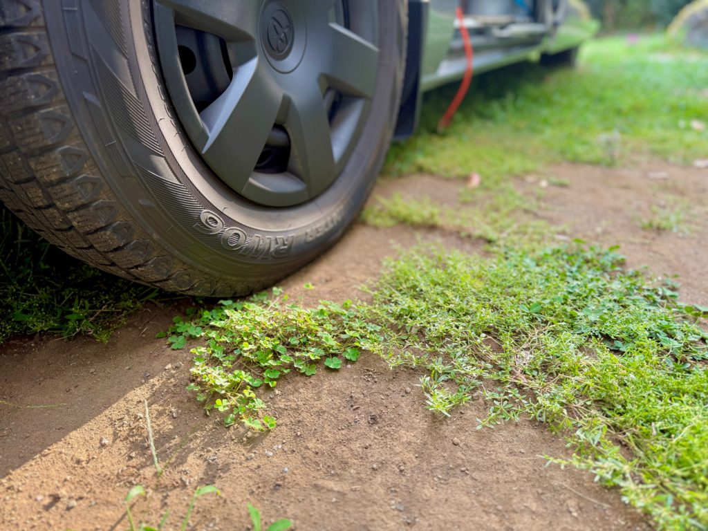 犬の火葬　訪問ペット火葬　プティセレモ