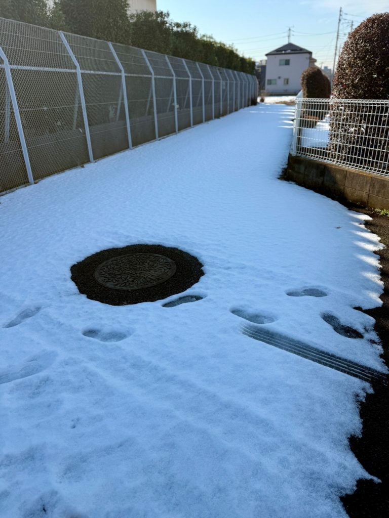 清瀬市 ペット葬儀