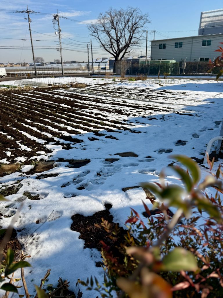 雪の日のお別れ