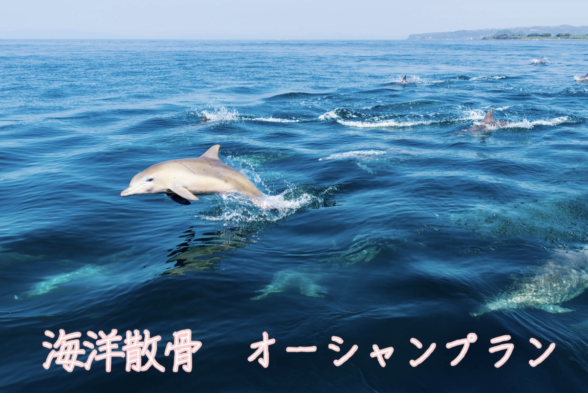 ペットの海洋散骨