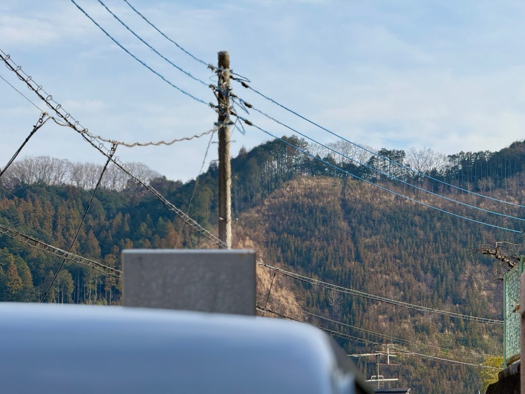 青梅市　ペット火葬