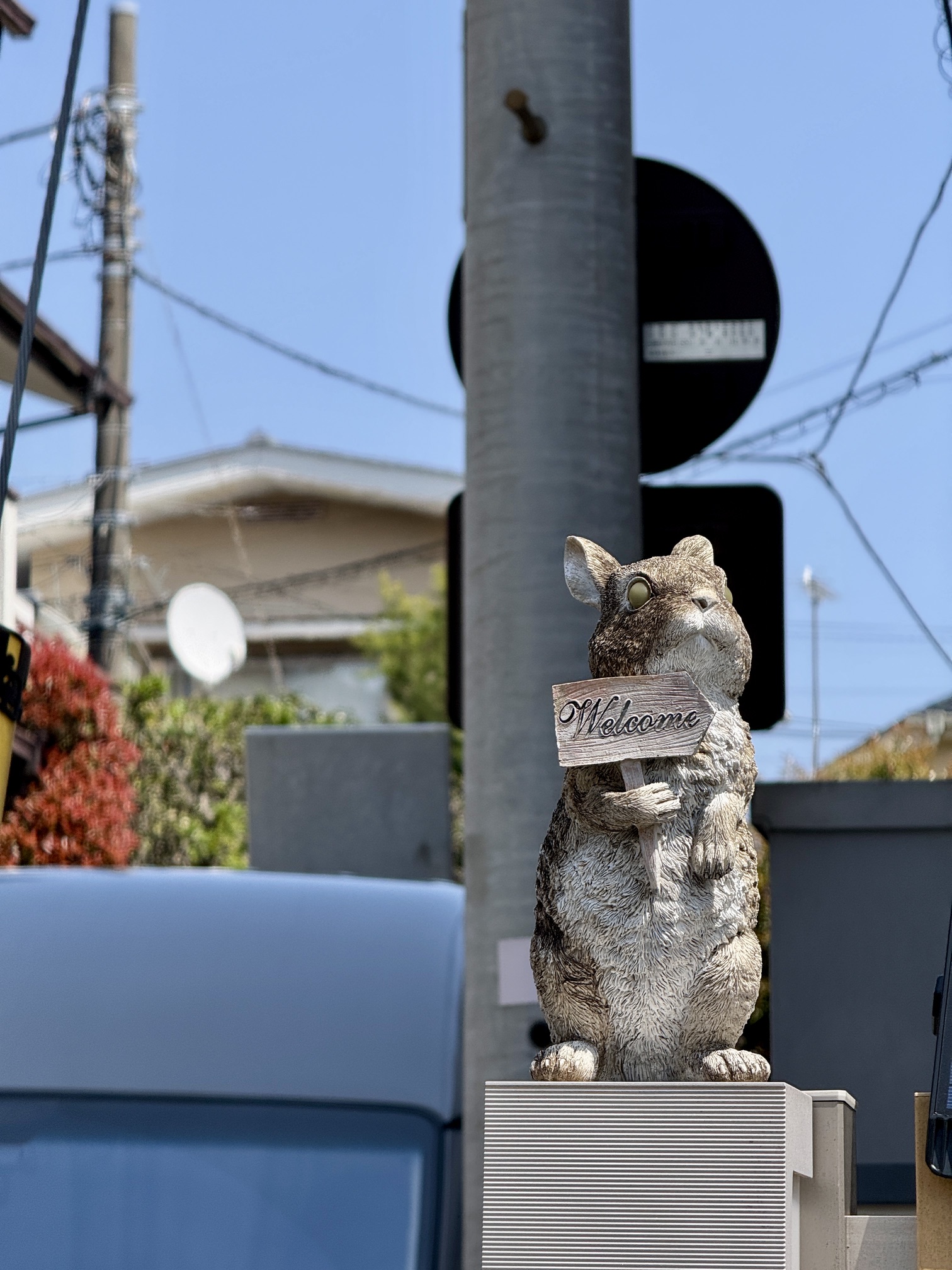 杉並区 ペット 火葬